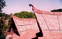 South Pacific exterior thatched roof decoration