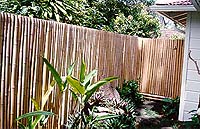 South pacific bamboo fencing usage