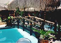 Example of Bensons Import Tropical Decor. Click for larger picture.