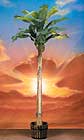 654 Twelve foot Banana Tree with 20 leaves