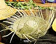 7775 Beachcomber palm leaf hat. 13"