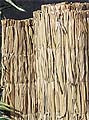 340 Palm Fencing 5 x 10