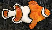 3558 Clownfish, 22 in.