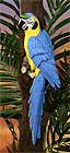 8233 Macaw, Blue 26 in.